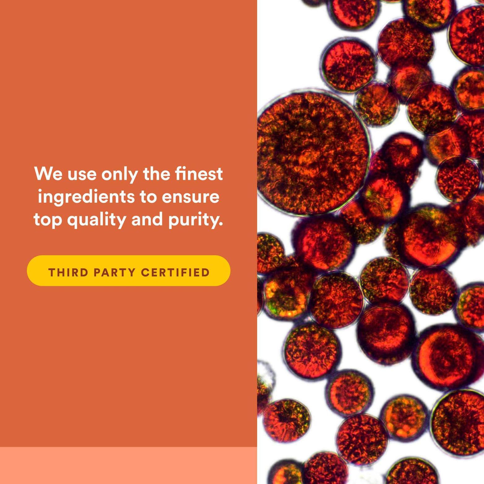 PQQ illustration representing energy support