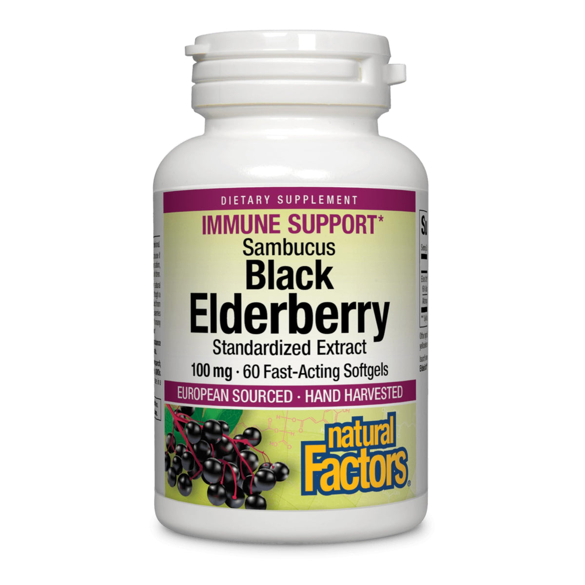 Natural Factors Black Elderberry 100 mg softgels bottle on white background