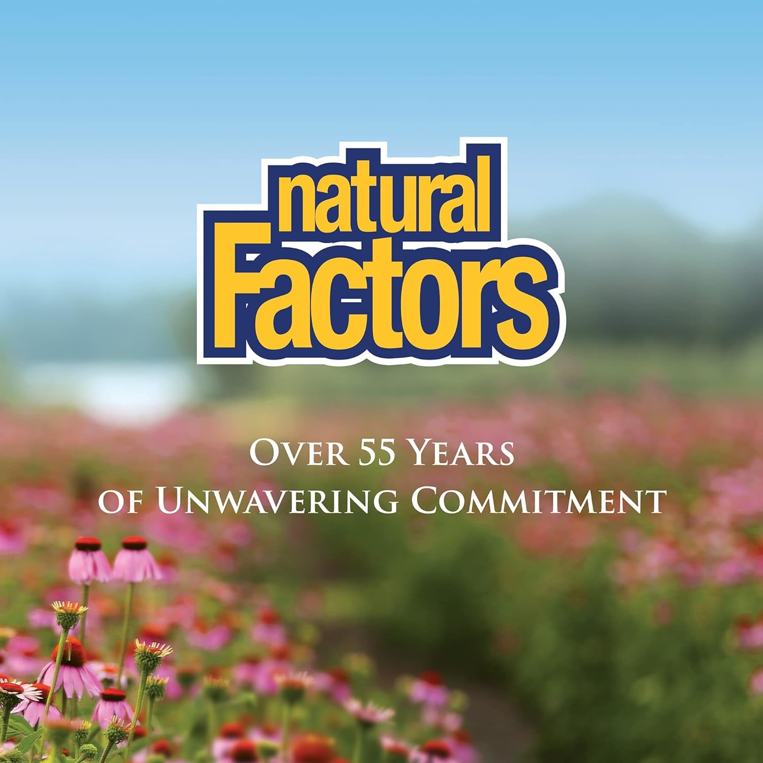 Digestive health concept graphic with gut illustration