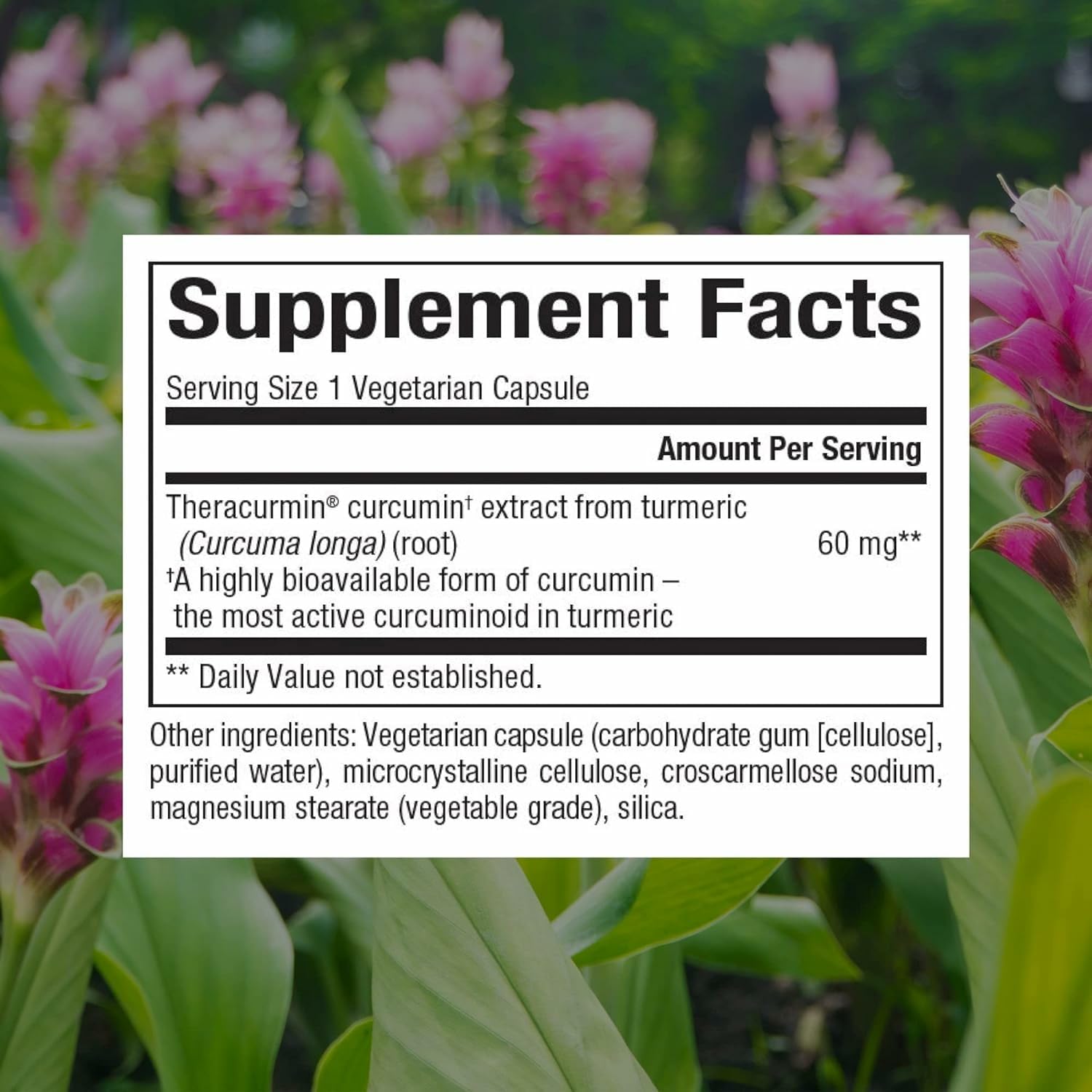 Close-up of Theracurmin double-strength curcumin absorption illustration
