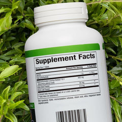 Close-up of DGL Chewable tablets