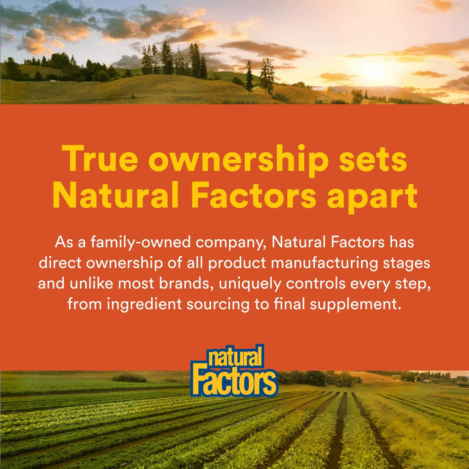 Wellness concept image for energy and vitality