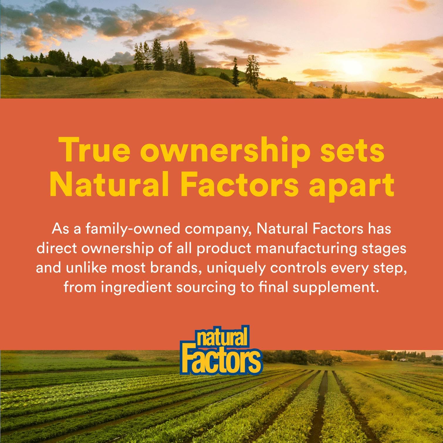 Label and packaging of Natural Factors Joint MSM Formula