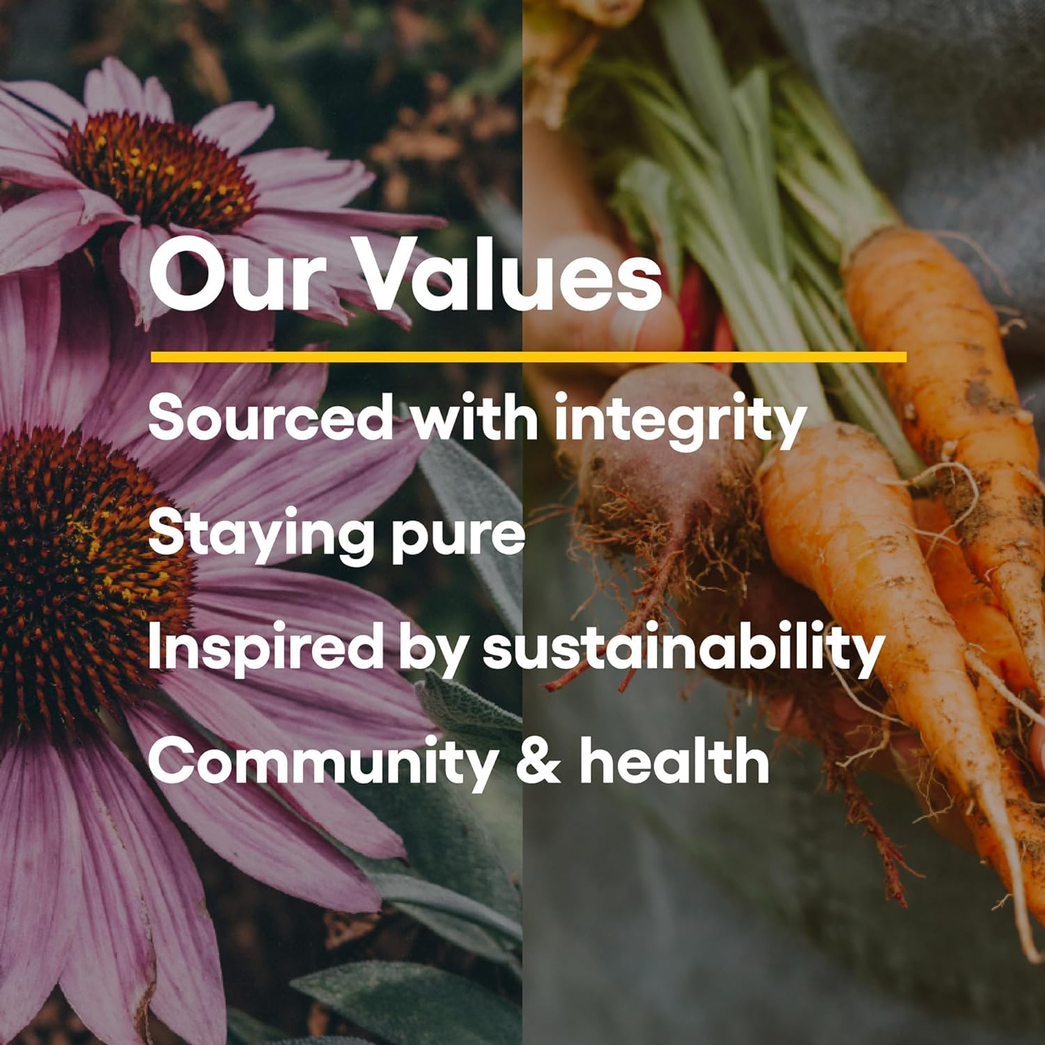 Child holding a vitamin C chewable wafer