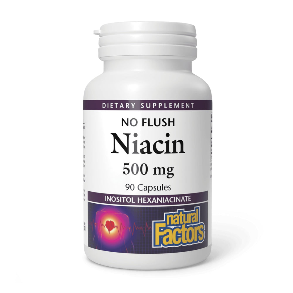 Bottle of Natural Factors No Flush Niacin 500 mg - 90 tablets with front label
