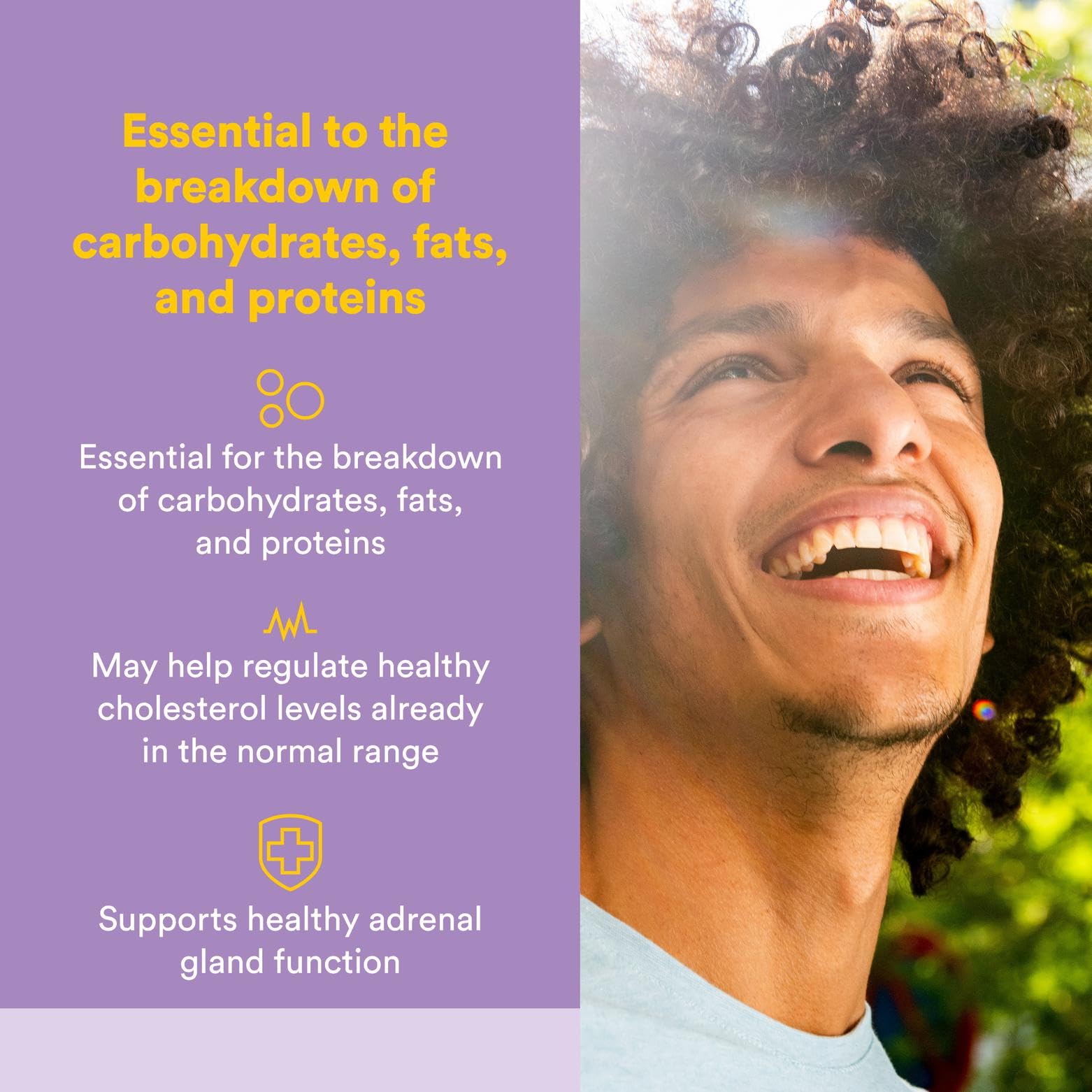 Close-up of Natural Factors No Flush Niacin 500 mg bottle back label