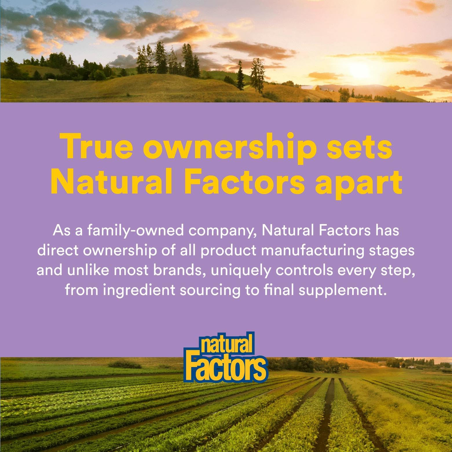 Product information graphic for Natural Factors No Flush Niacin 500 mg