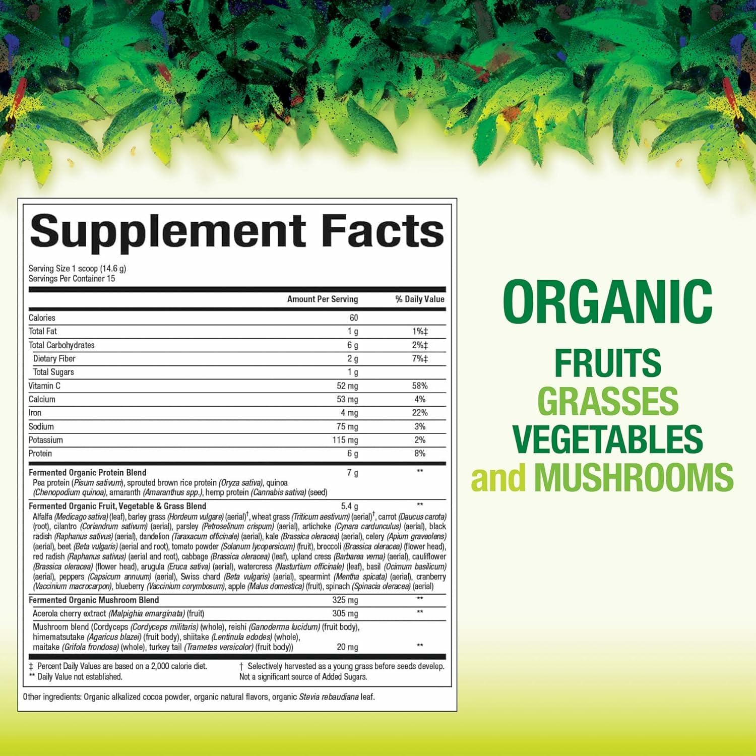 Packaging for Natural Factors Organic Greens Organic Greens powder