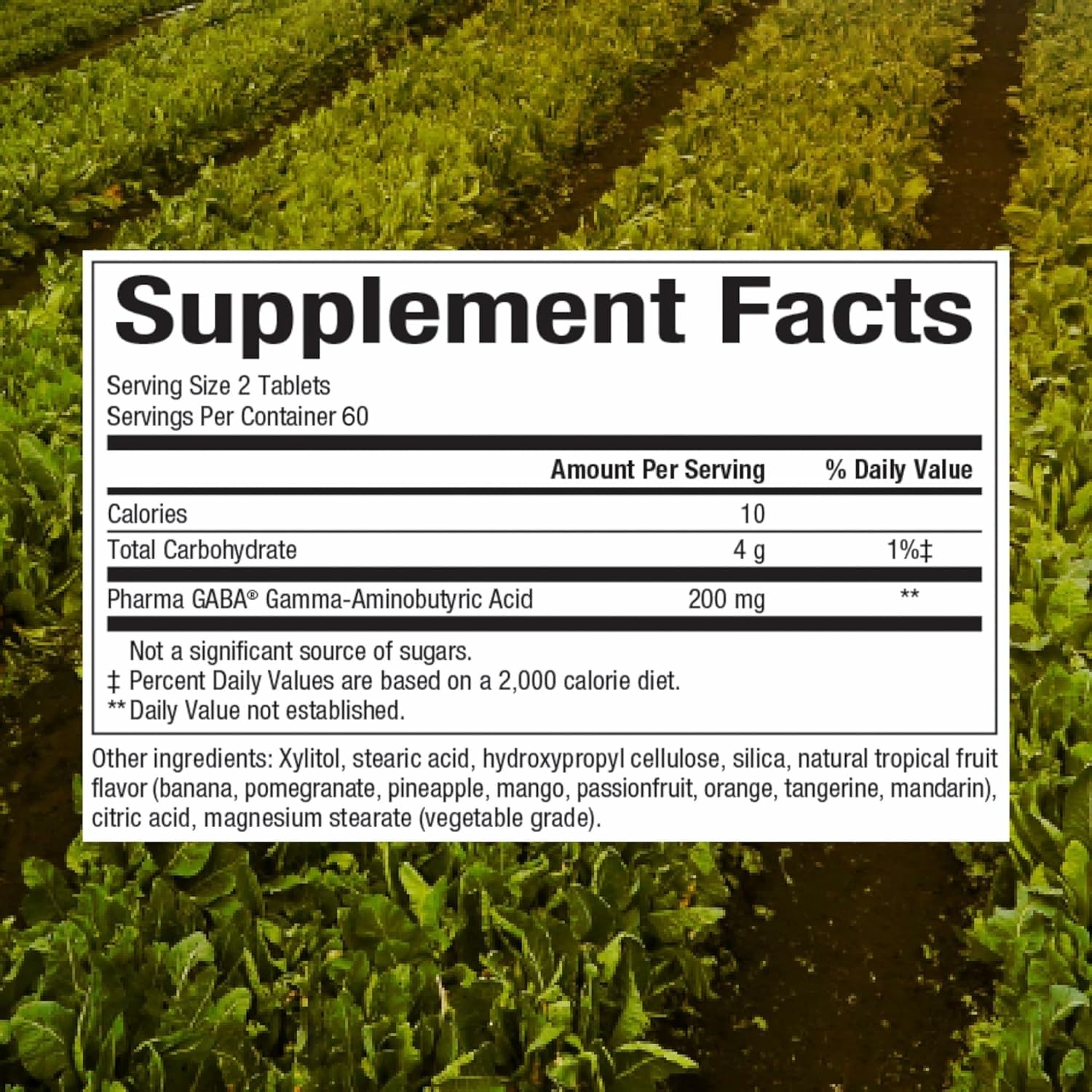 Natural Factors Pharma GABA bottle back label