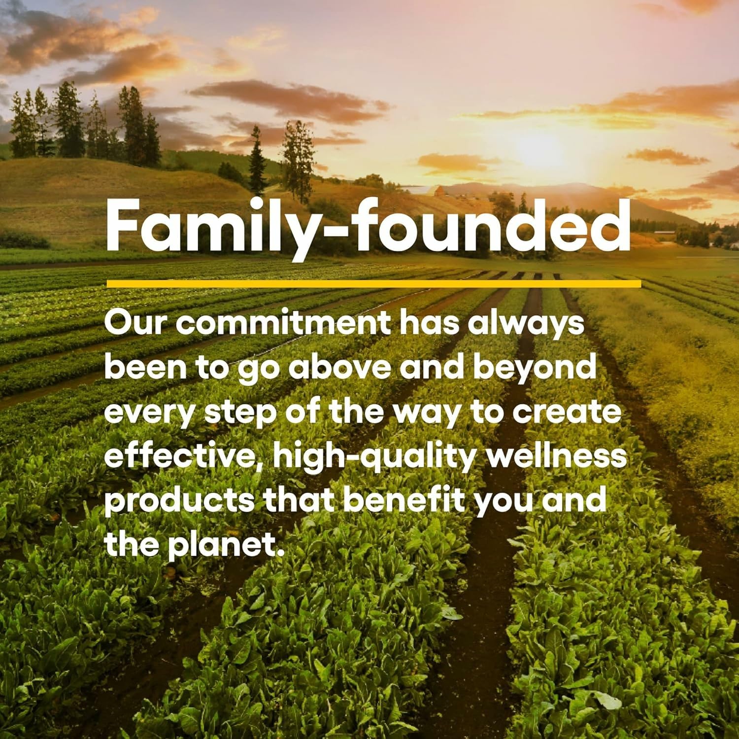 Icons indicating non-GMO and sugar-free