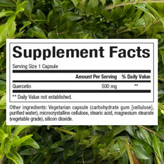 Quercetin capsules close-up - 500 mg per capsule