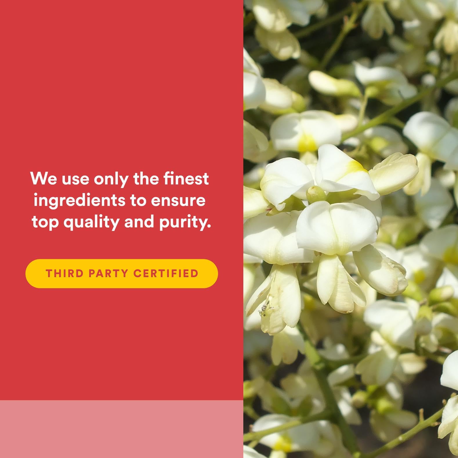 Natural Factors Rutin organic farm scene underscoring sustainable sourcing and local cultivation