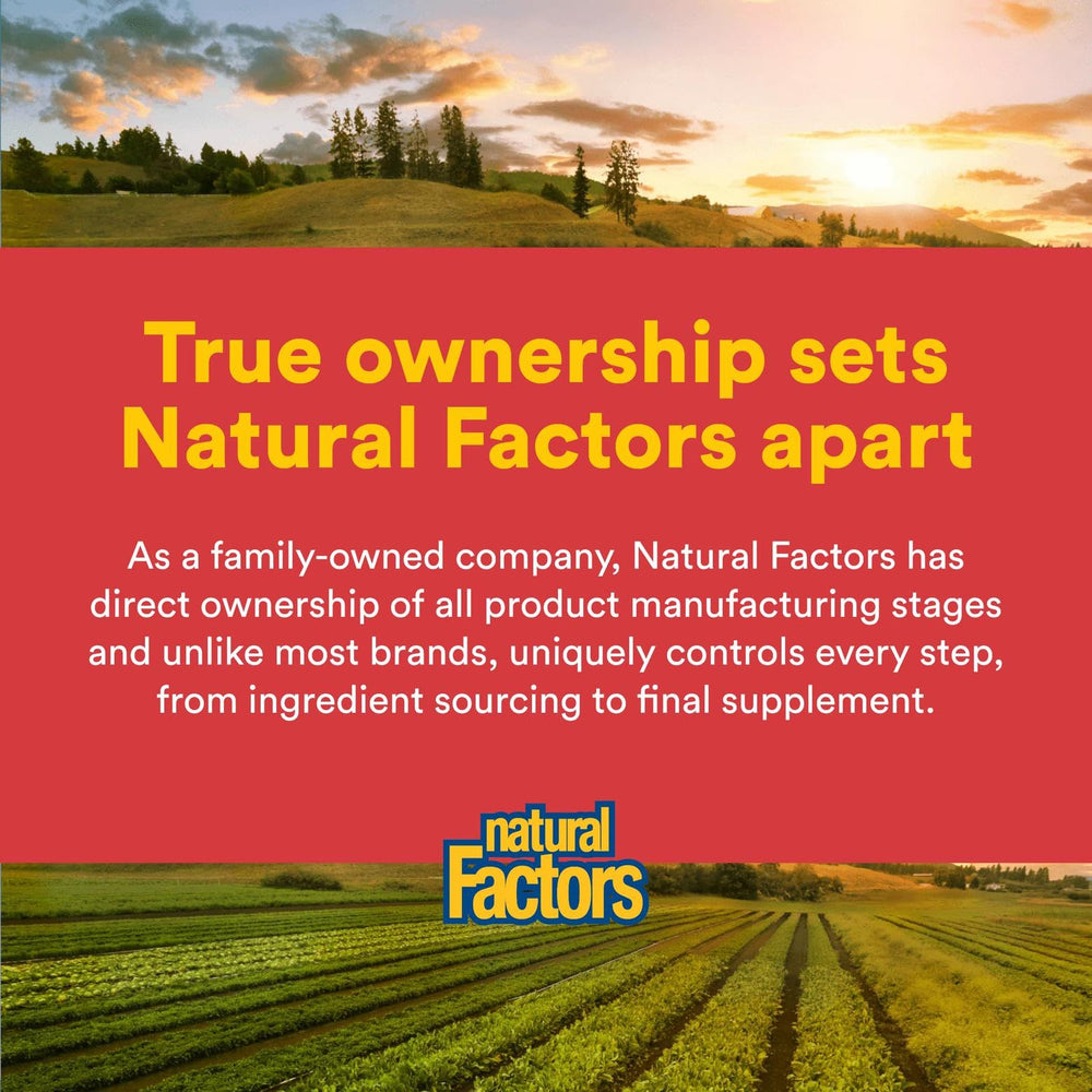 Natural Factors Rutin production facility shot conveys controlled manufacturing and consistency