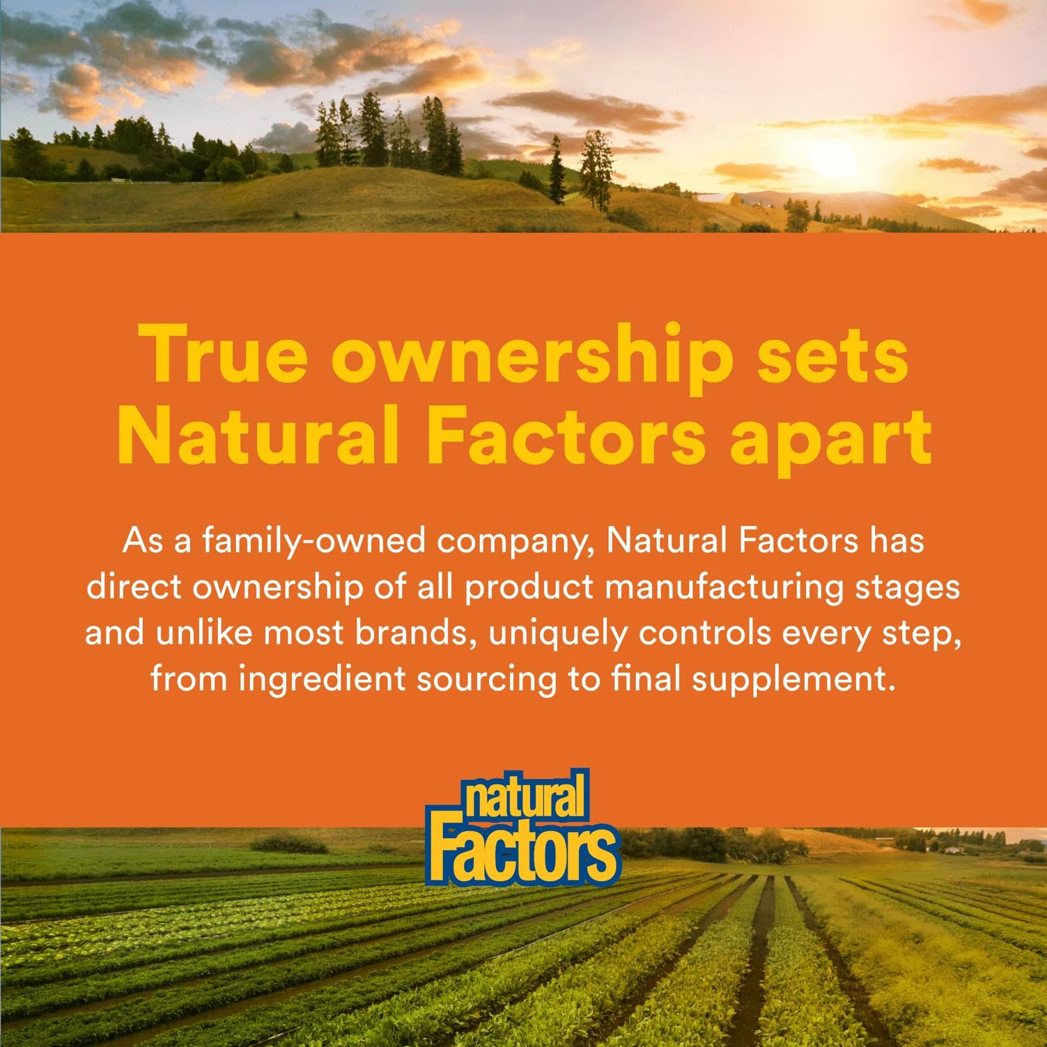Product label close-up of Natural Factors SAMe 200 mg