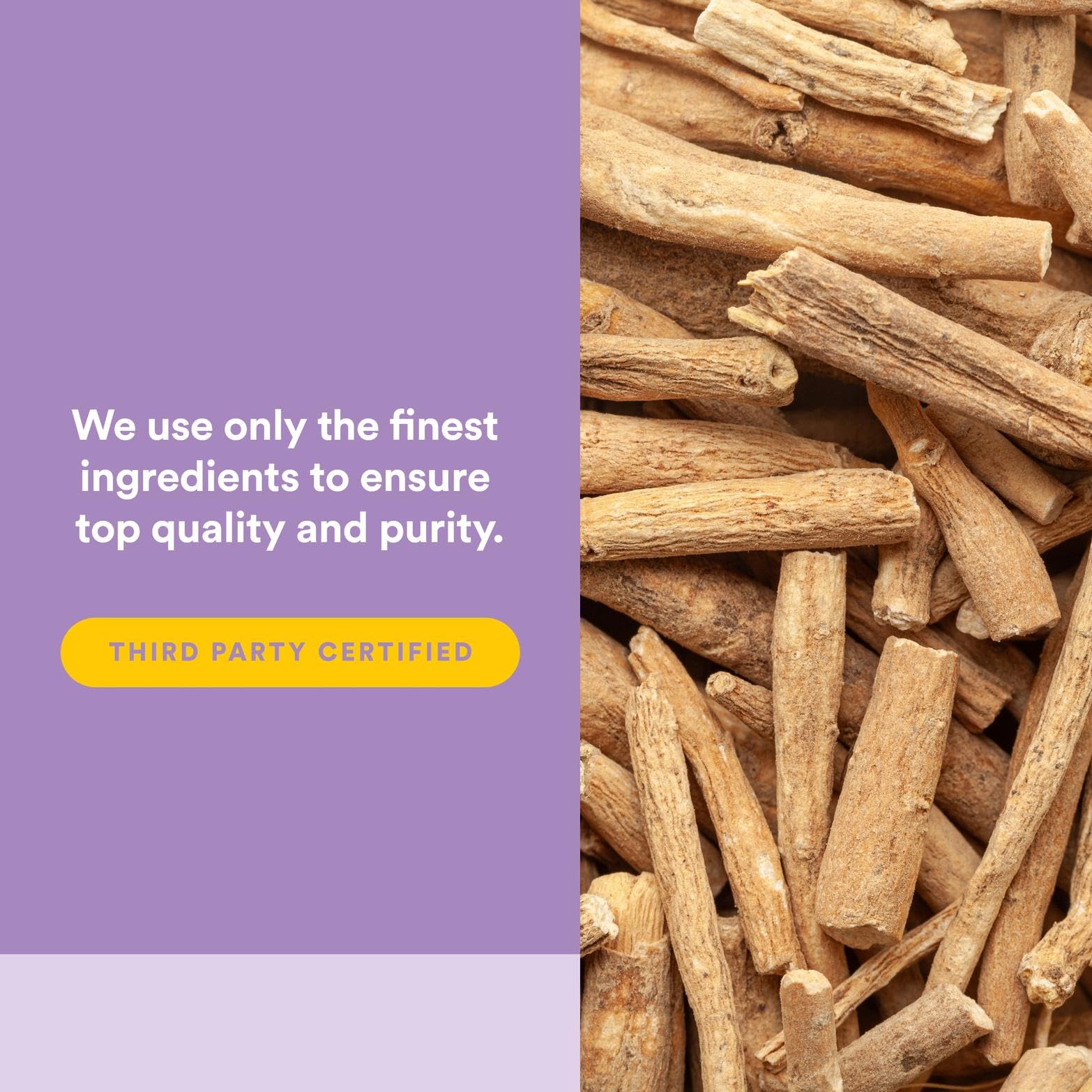 Ingredient highlights for Natural Factors stress support