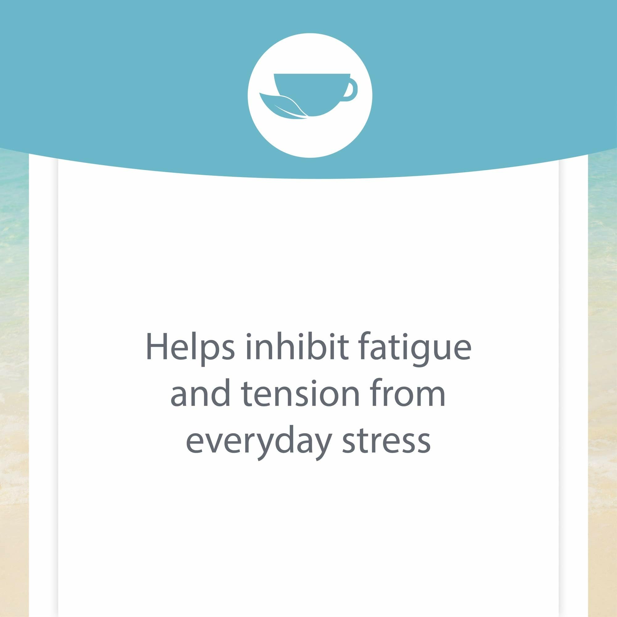 Natural Factors Stress-Relax KSM-66 root extract closeup for stress resilience.