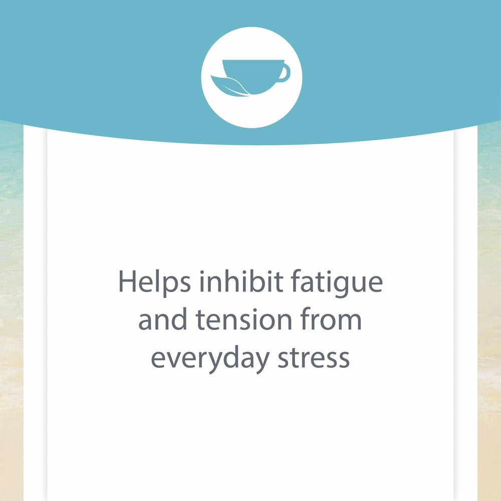 Natural Factors Stress-Relax KSM-66 root extract closeup for stress resilience.