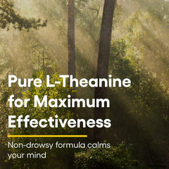 Natural Factors Suntheanine L-Theanine packaging and product