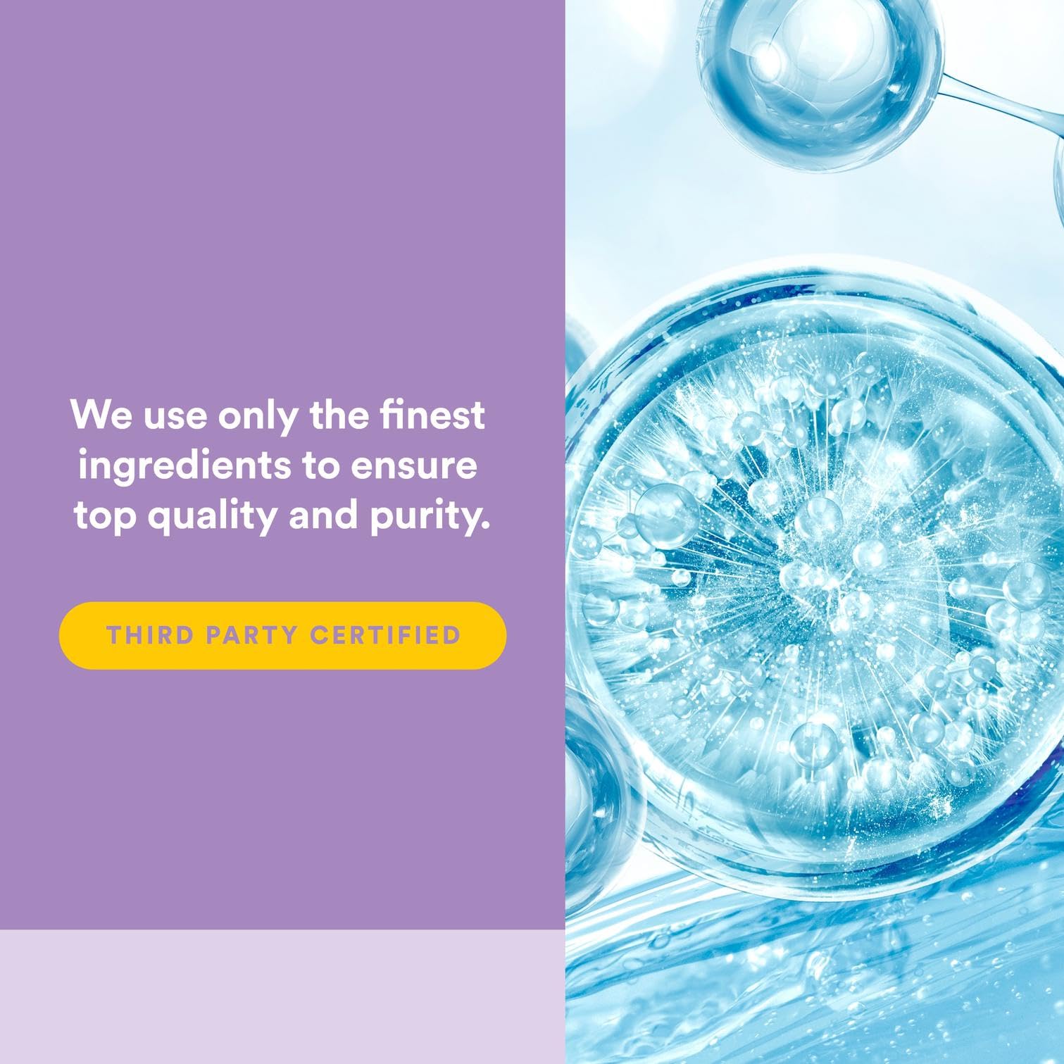 Daily use guidance for Natural Factors Total Body Collagen