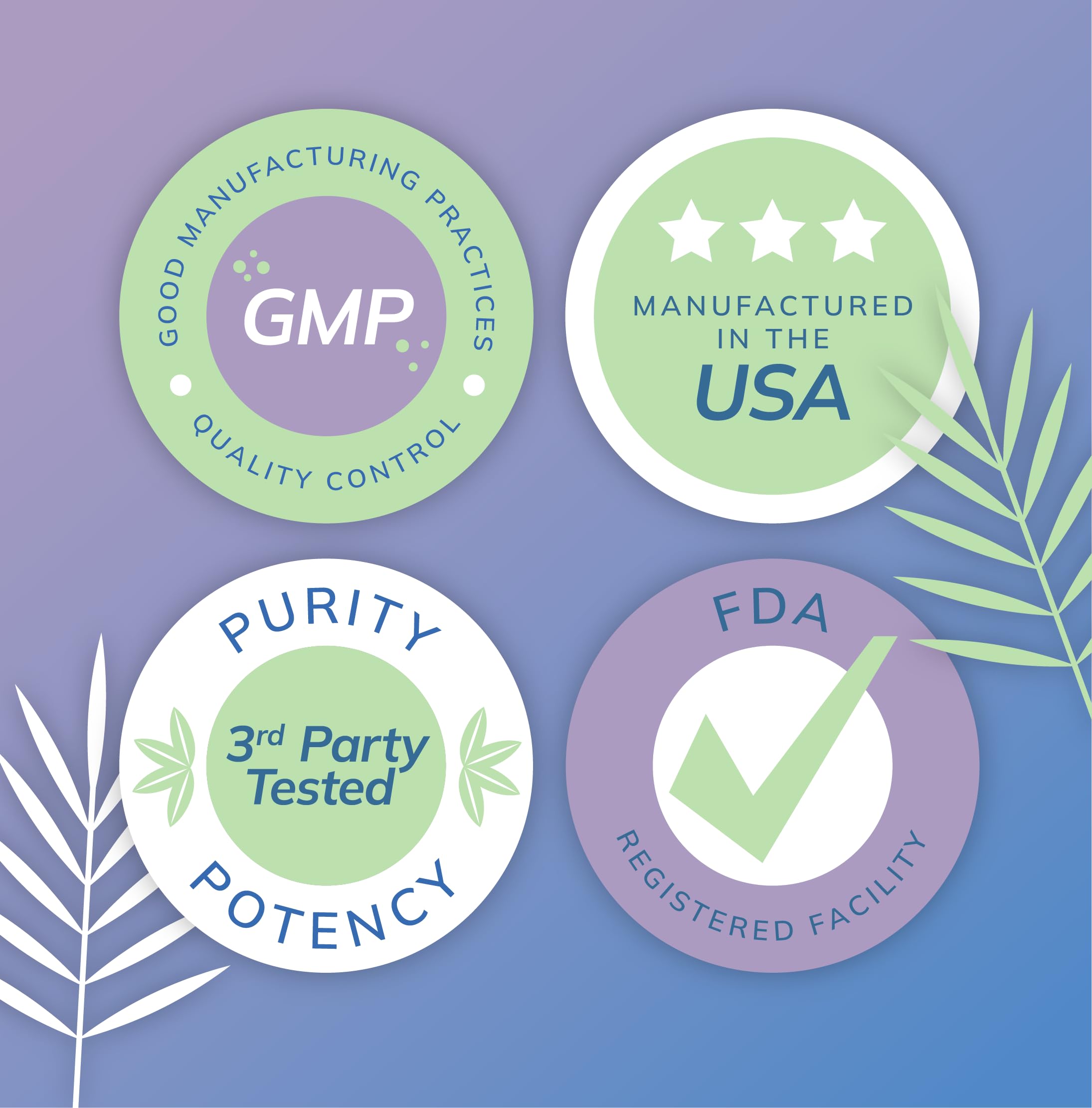 Natural nootropic benefits of fisetin for memory and focus