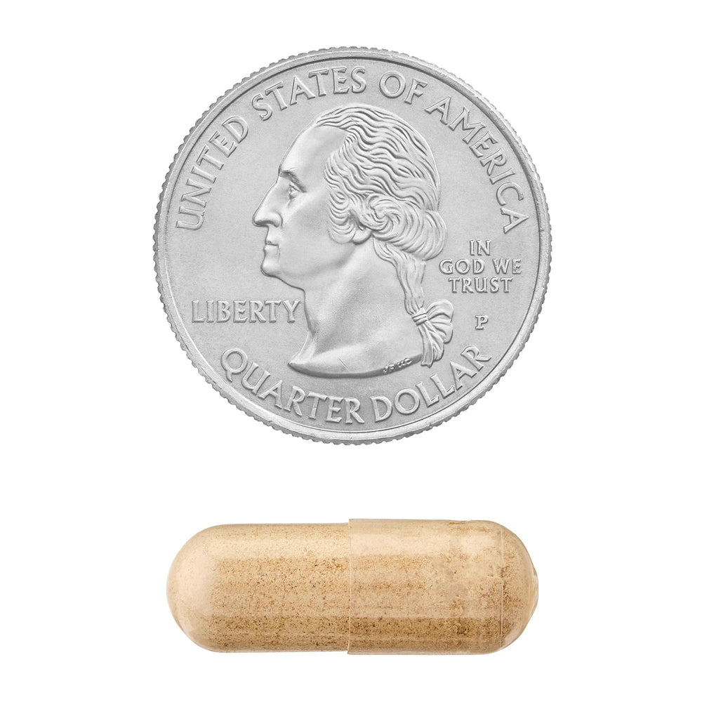 Herbal adaptogen concept imagery for ashwagandha