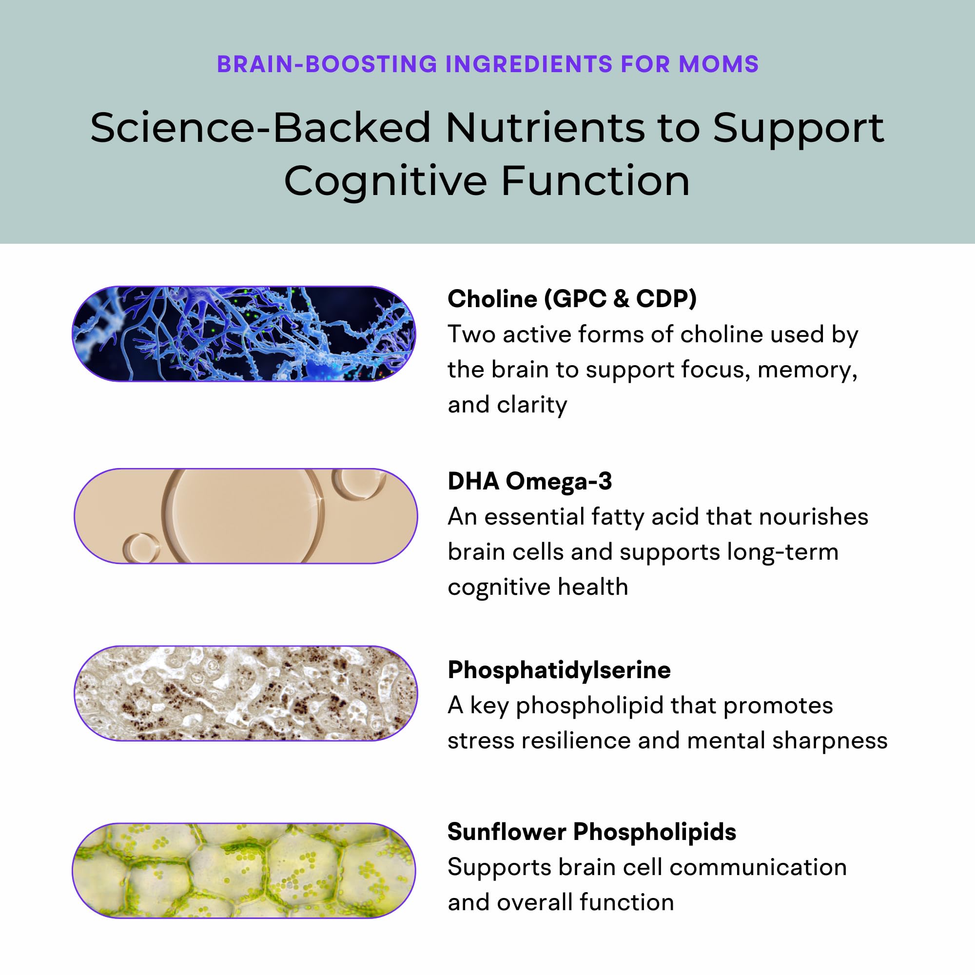 Natural sunflower lecithin ingredient