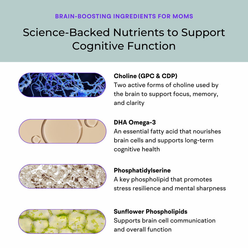 Natural sunflower lecithin ingredient