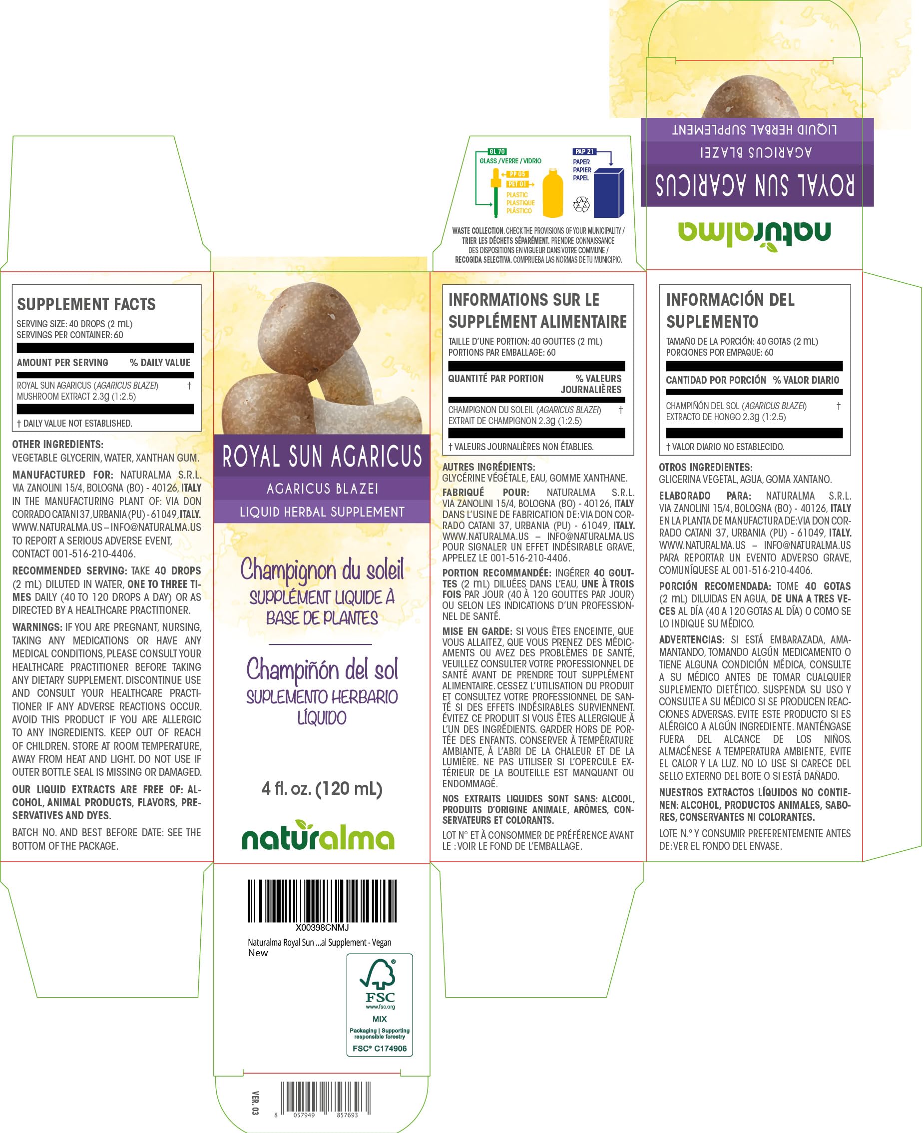 Close-up of Agaricus blazei Almond mushroom extract (1:2.5)