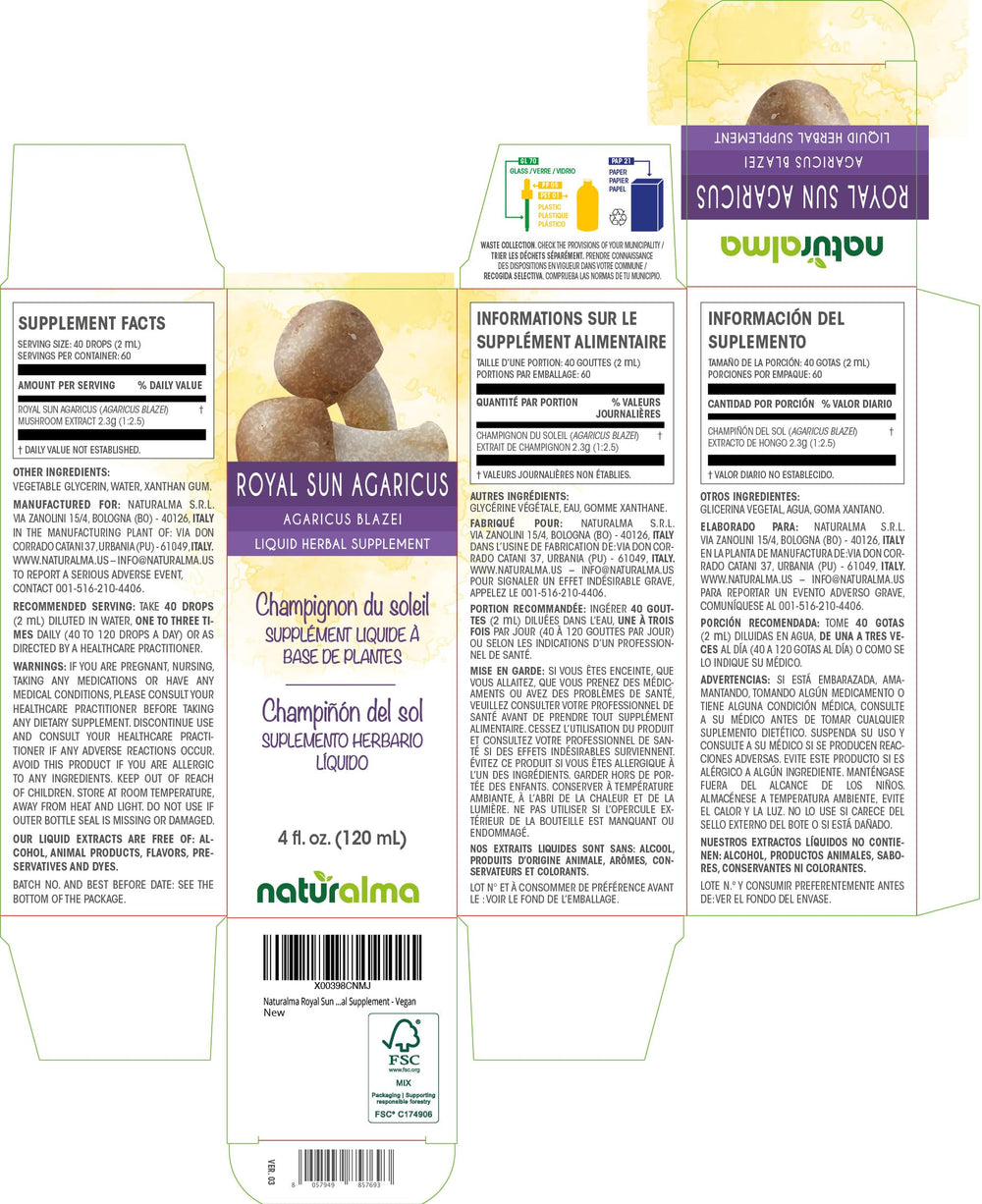 Close-up of Agaricus blazei Almond mushroom extract (1:2.5)