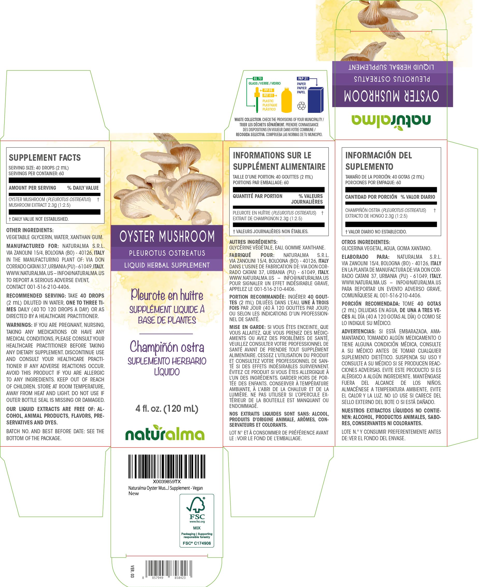 Naturalma Ginger Rhizome tincture bottle 4 oz