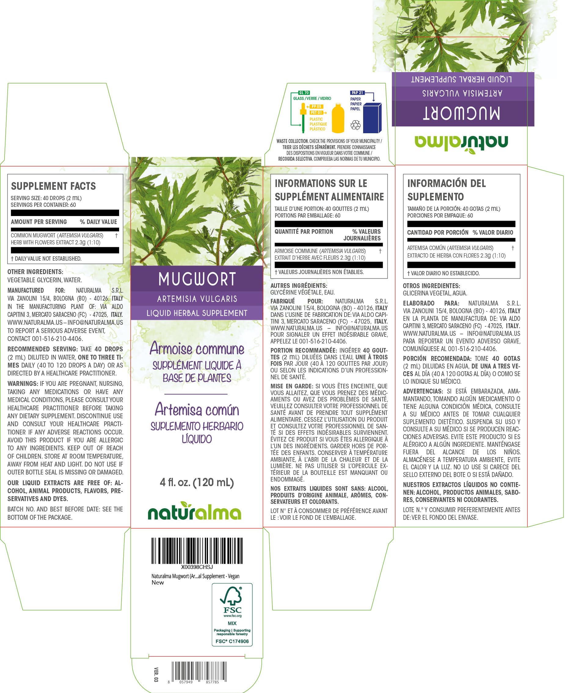 Mugwort flowers tincture close-up