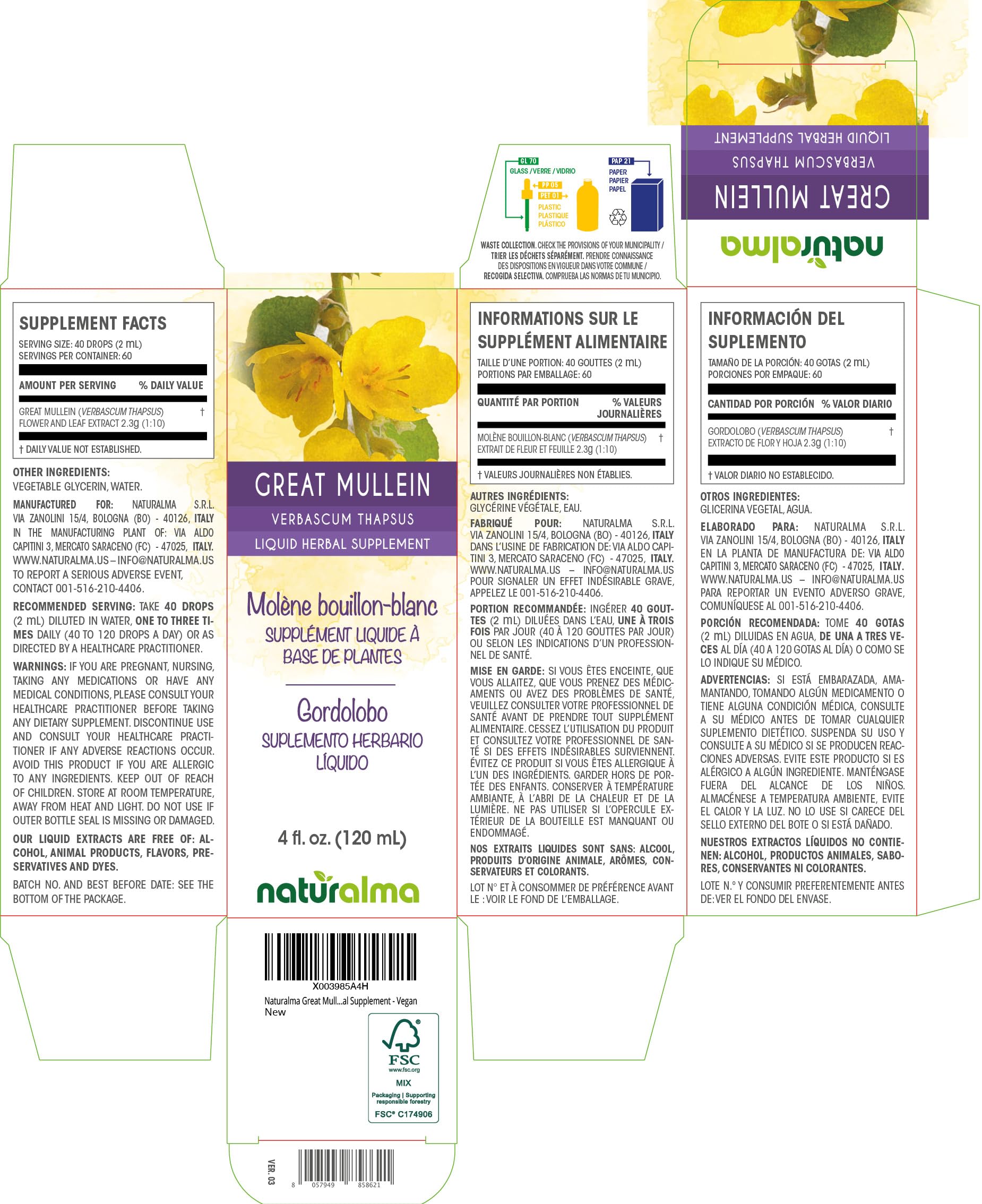 Close-up of mullein flowers and leaves used in tincture