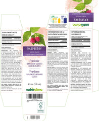 Close-up of raspberry leaf tincture drops in glass bottle