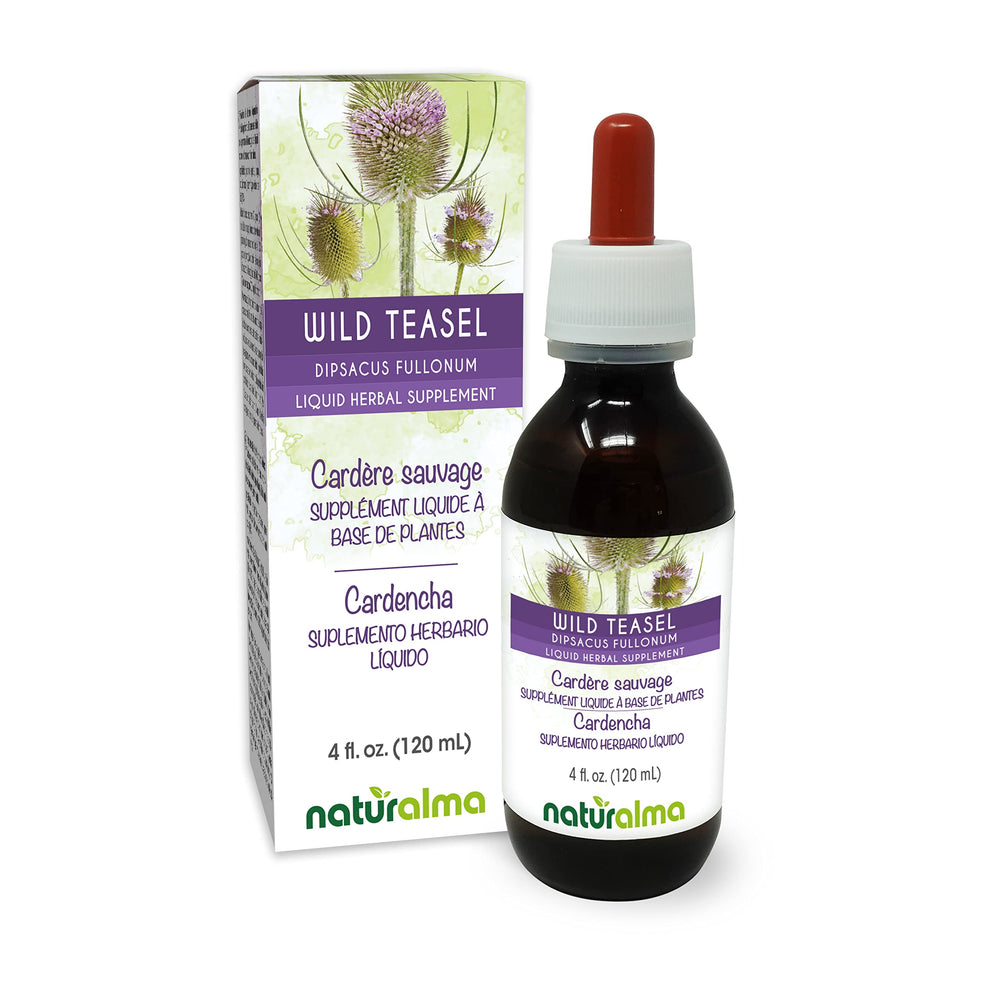 Naturalma Wild Teasel Root Tincture bottle close-up