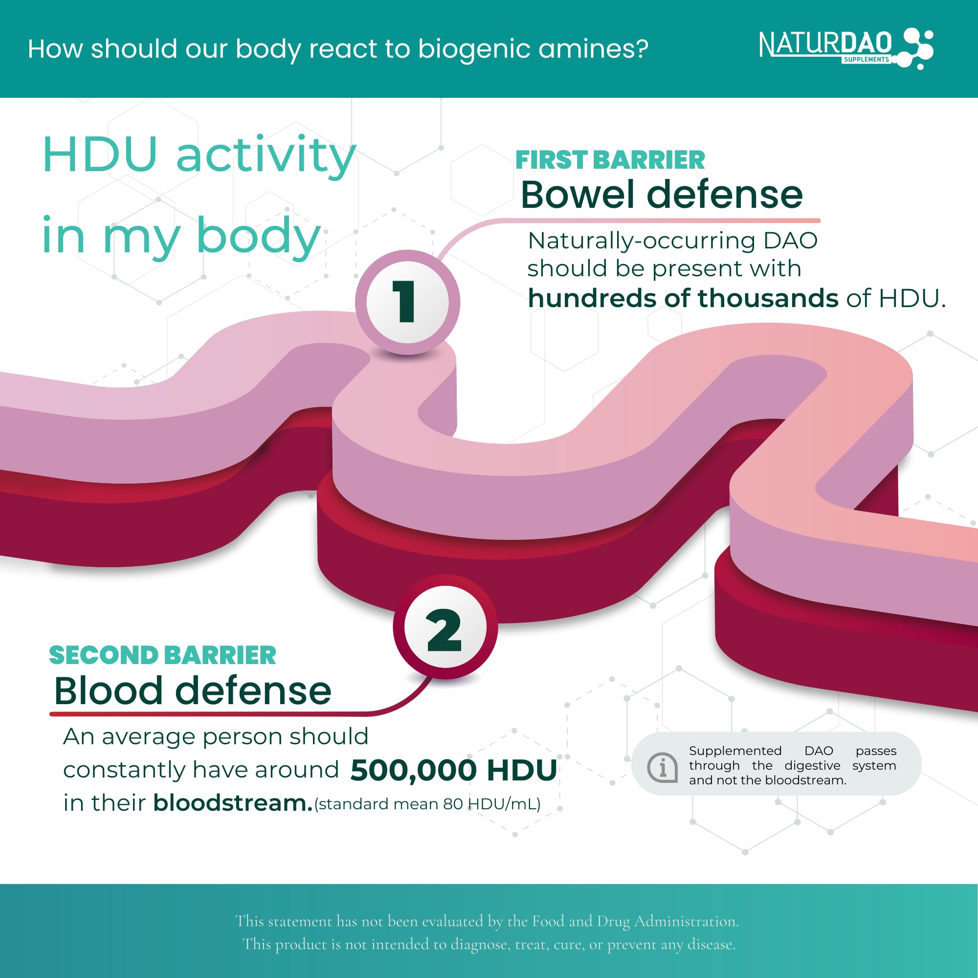 Illustration showing diamine oxidase (DAO) and histamine breakdown