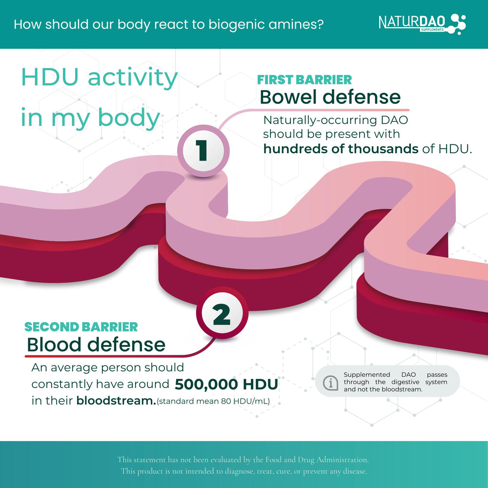 Illustration showing diamine oxidase (DAO) and histamine breakdown