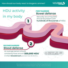 Illustration showing diamine oxidase (DAO) and histamine breakdown