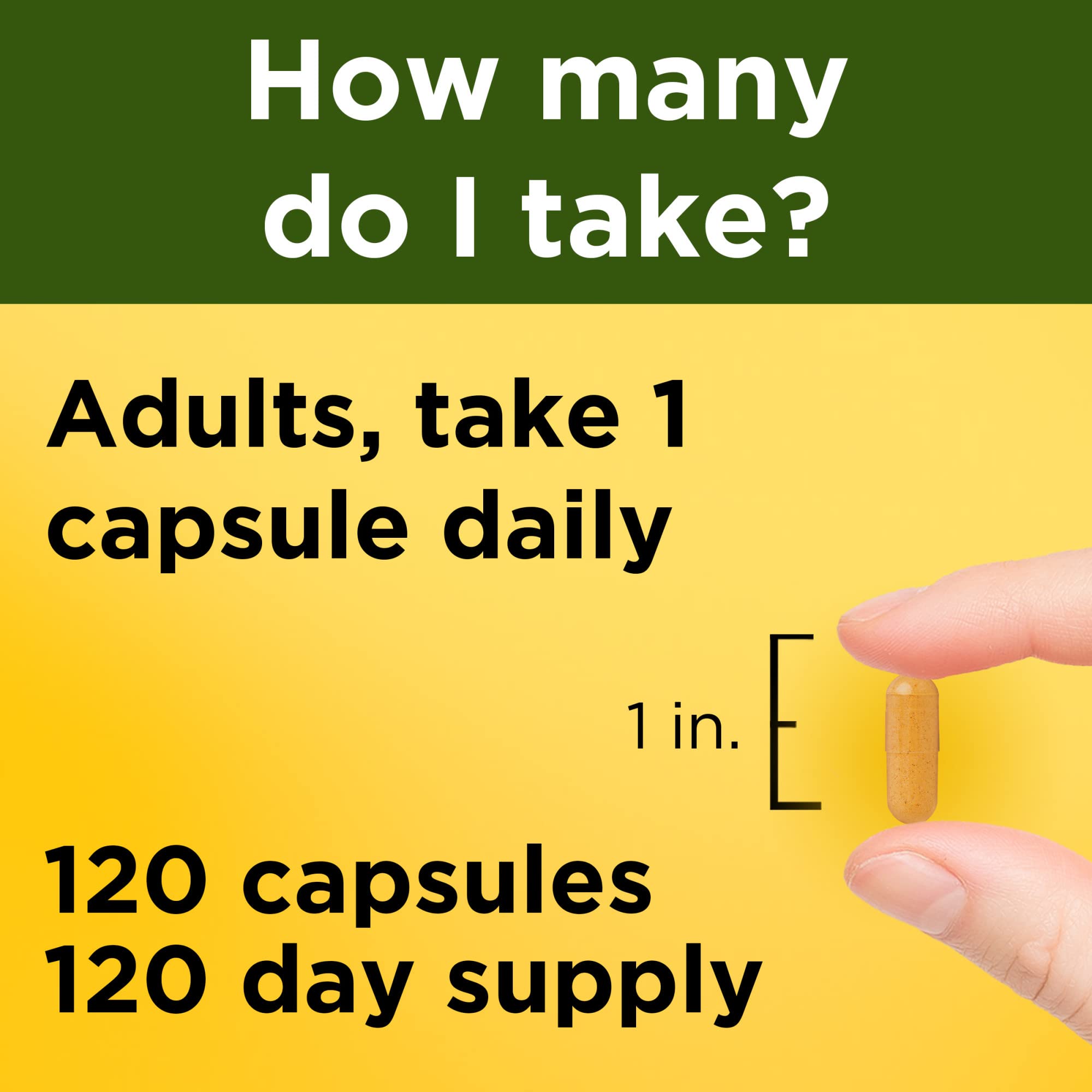 Label detail of Nature Made Turmeric Curcumin 500 mg showing standardized extract.