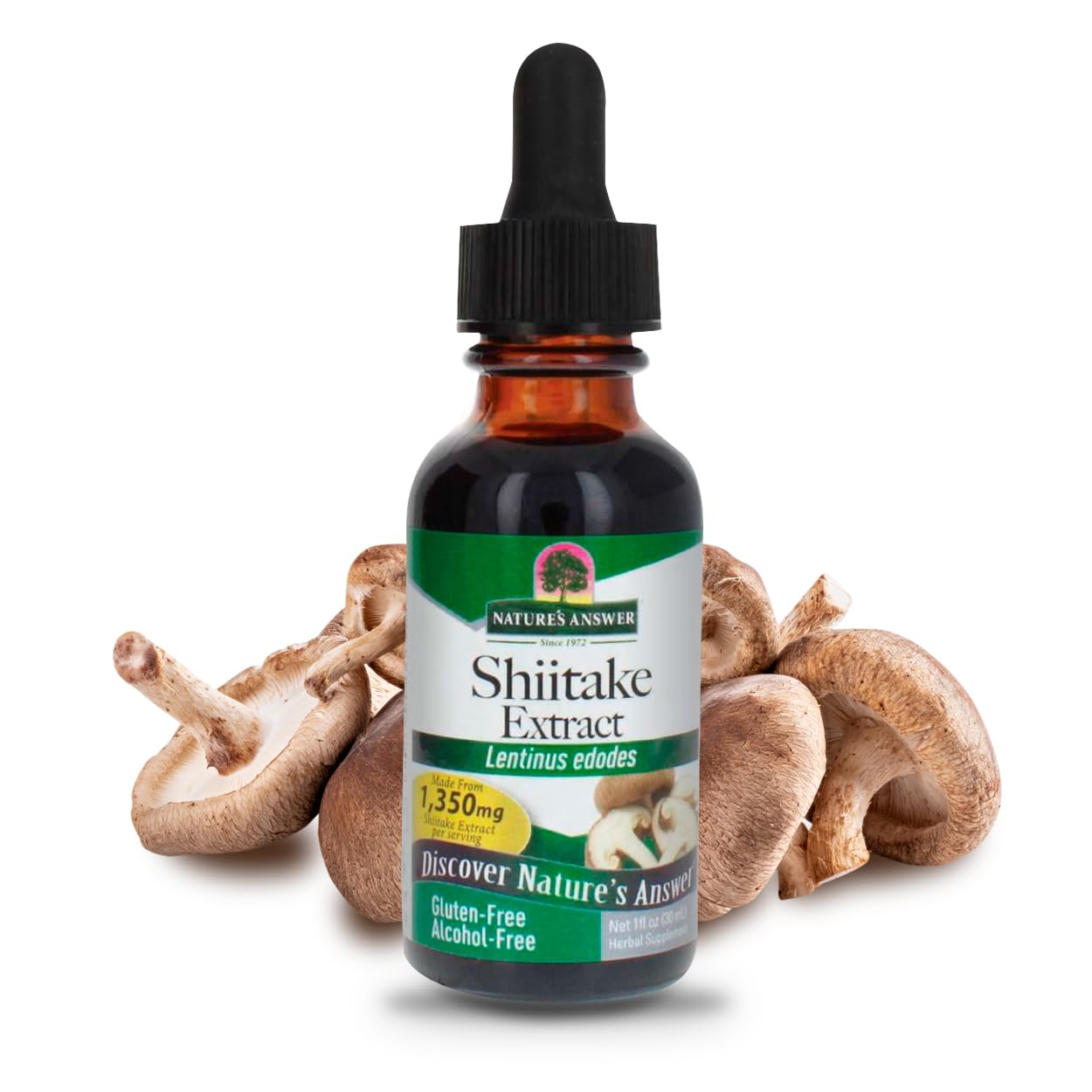 Front view of Nature's Answer Shiitake Mushroom Extract bottle, 1 fl oz
