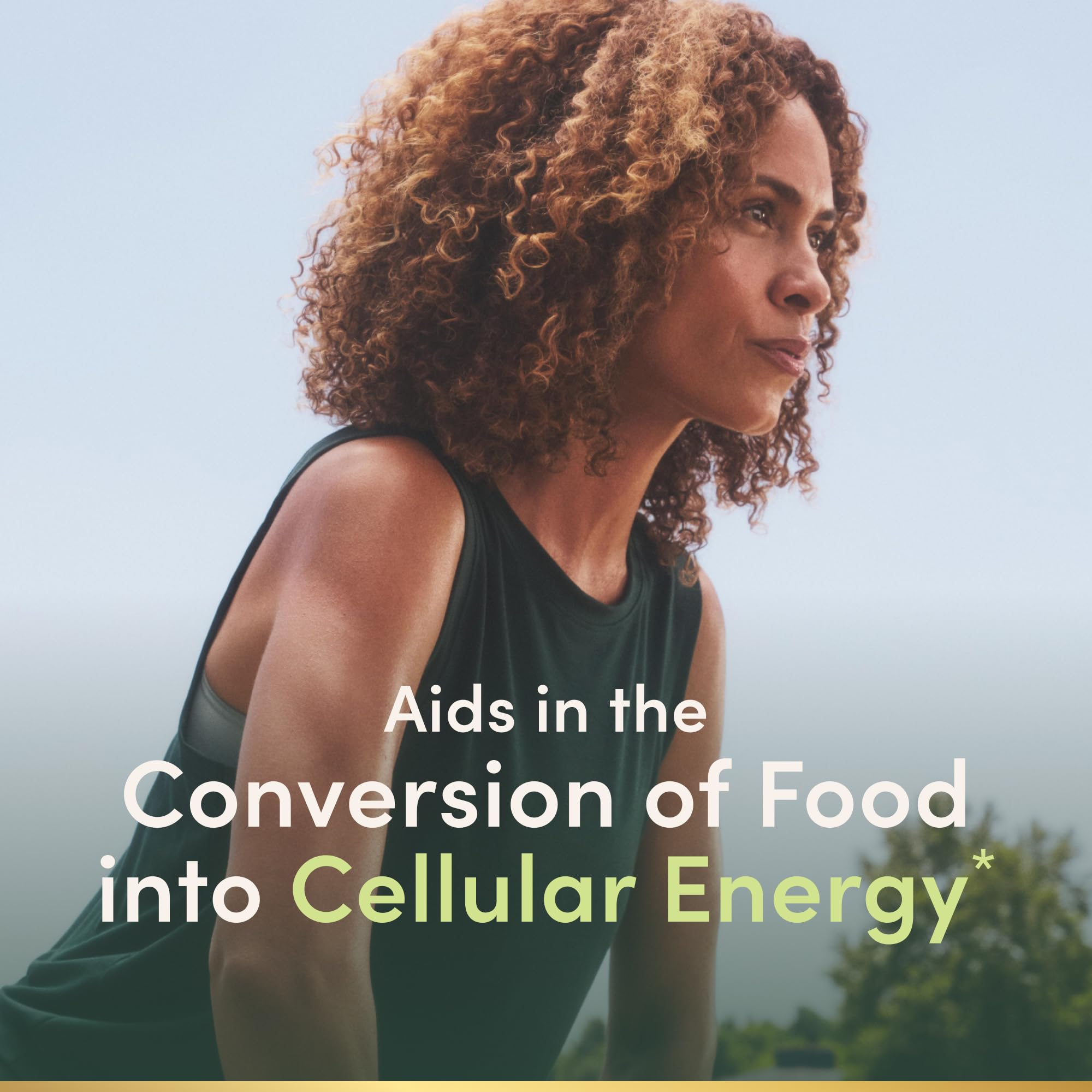 Back label showing supplement facts for Vitamin B12 Gummies