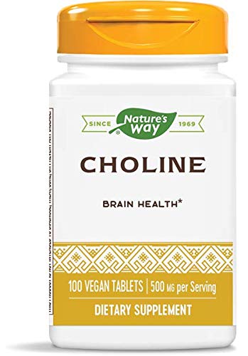 Nature's Way Choline 500 mg bottle front view