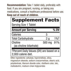 Supplement facts panel for Nature's Way Choline 500 mg
