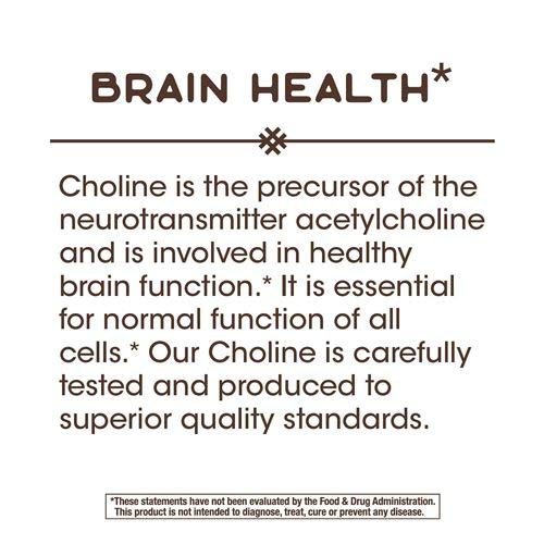 Pack of 2 Nature's Way Choline bottles