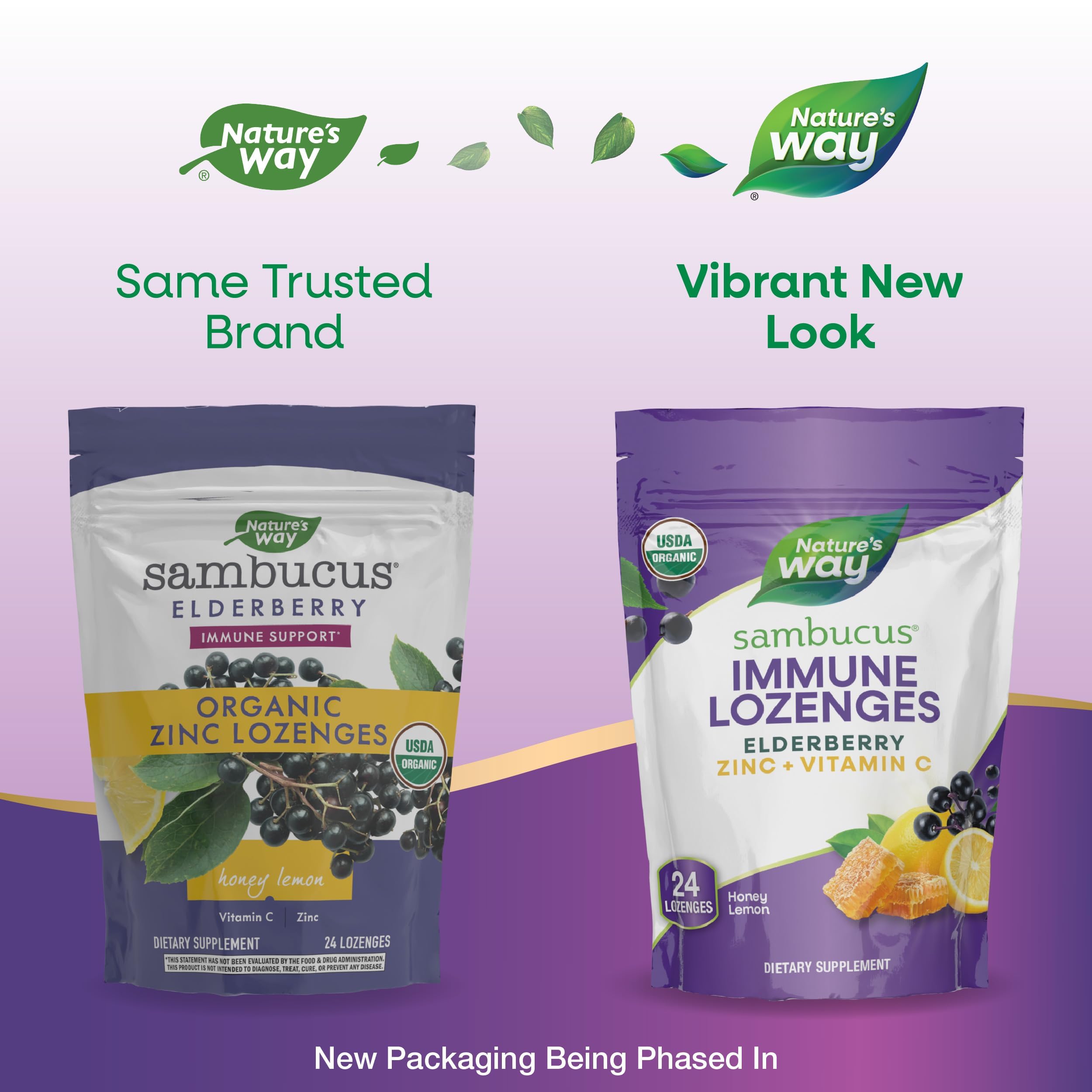 Organic black elderberry extract illustration used in Sambucus Immune Lozenges