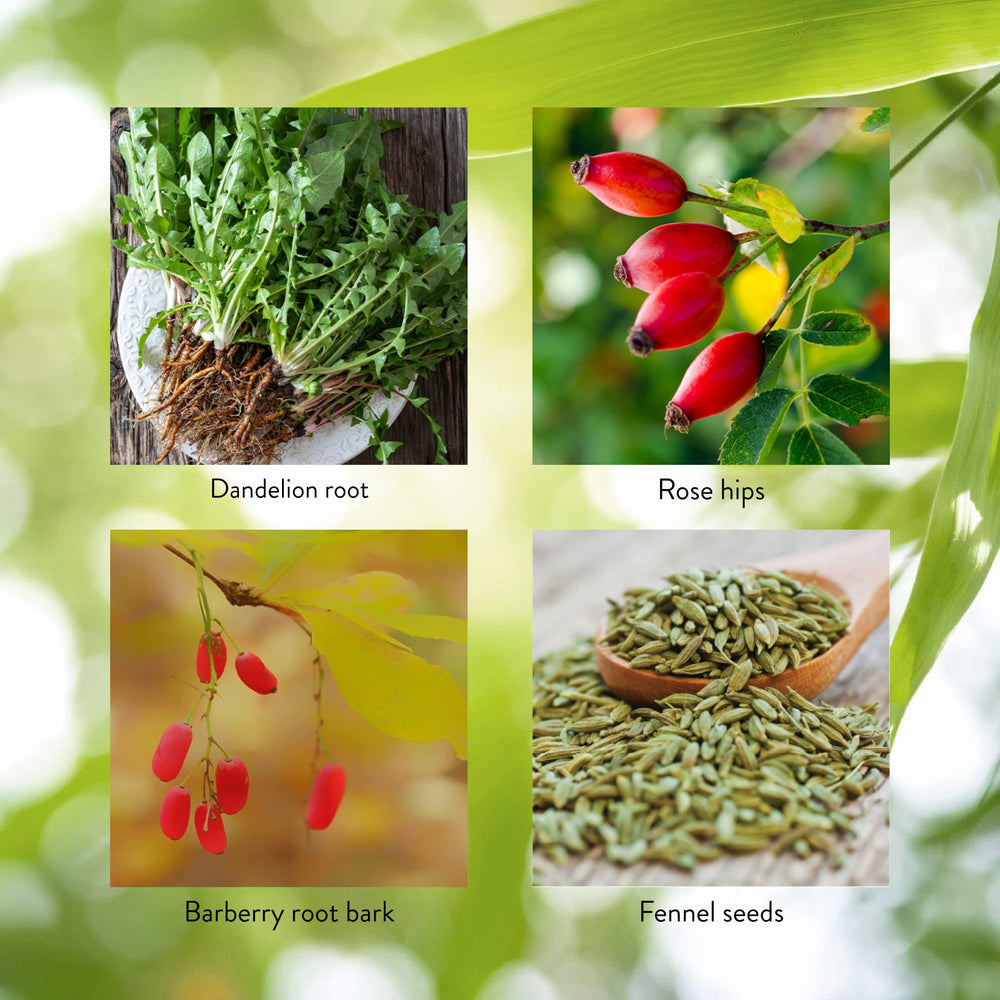 Parsley and red beet root ingredients in LIV-J