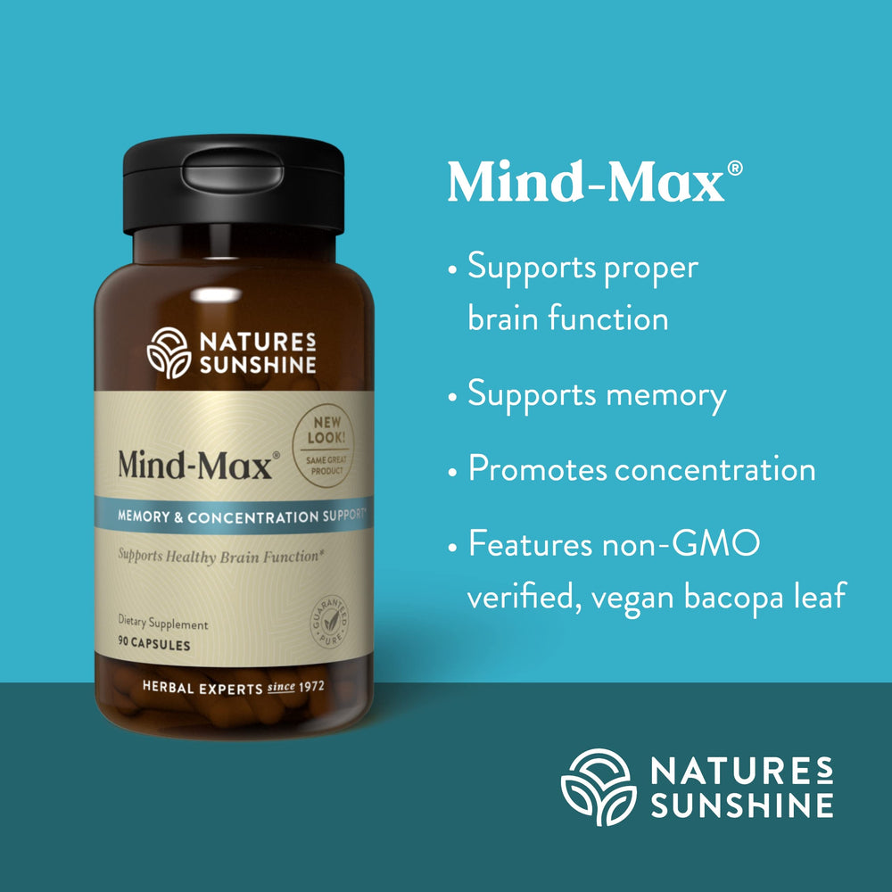 Ginkgo Biloba leaves illustration for Mind-Max