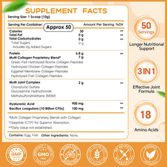 Illustration of collagen types I, II, III, V, X