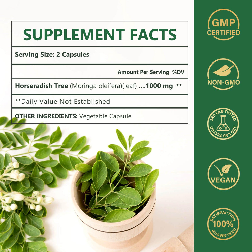 Close-up of Moringa leaves used for Nature Target capsules