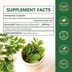 Close-up of Moringa leaves used for Nature Target capsules