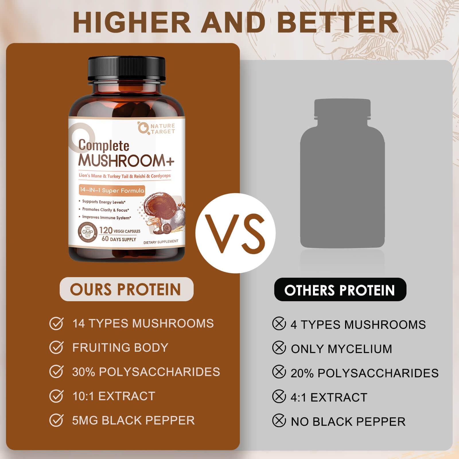 Mushroom supplement highlighting energy and immune support